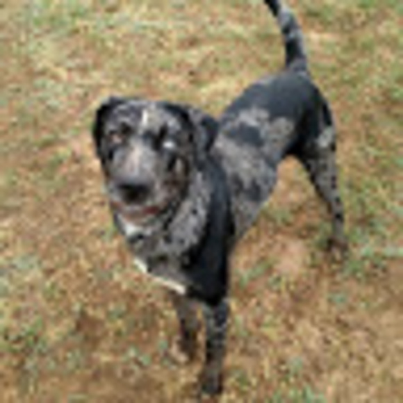 Meet your Posher, Staci - Picture 1 of 1